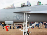 <strong>F18 Super Hornet</strong><br>Brazil 2012